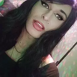 Kittykatka lodz