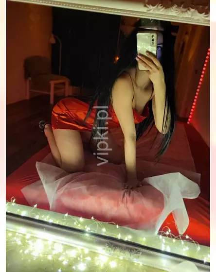 Liza szczupła kicia